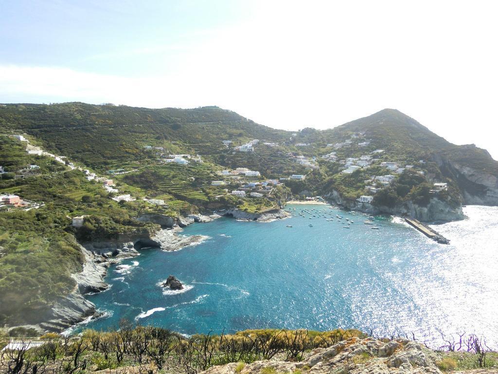 L'Incanto Di Cala Feola Ponza Ngoại thất bức ảnh